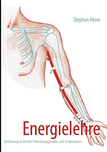 Energielehre: Einführung in die fünf Wandlungsphasen und 12 Meridiane