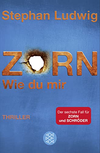 Zorn - Wie du mir: Thriller