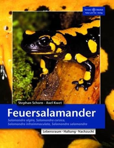 Feuersalamander: Salamandra algira, Salamandra corsica, Salamandra infraimmaculata, Salamandra salamandra (Terrarien-Bibliothek) von NTV Natur und Tier-Verlag