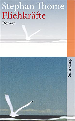Fliehkräfte: Roman (suhrkamp taschenbuch)