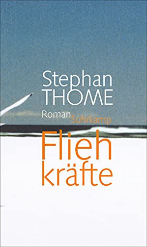 Fliehkräfte: Roman