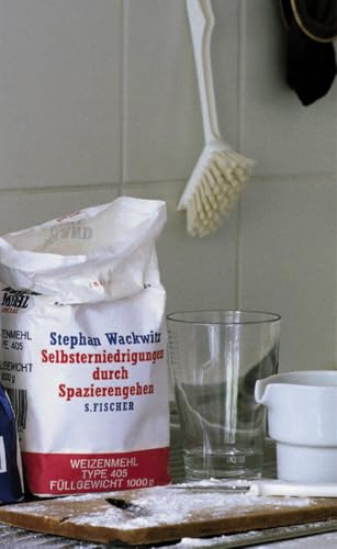Selbsterniedrigung durch Spazierengehen: Essays von FISCHERVERLAGE