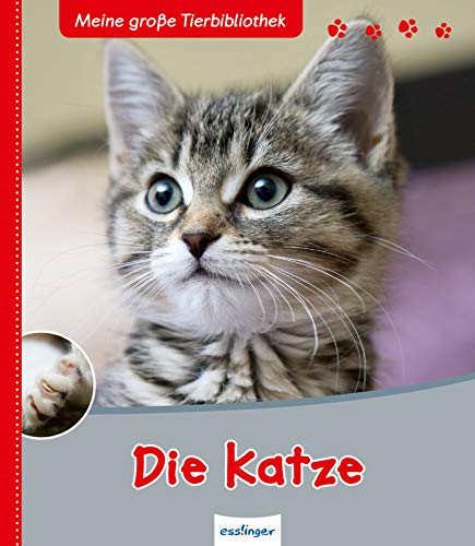 Meine große Tierbibliothek: Die Katze: Sachbuch für Vorschule & Grundschule