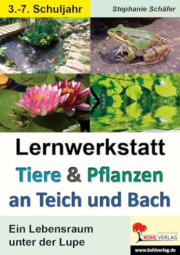 Lernwerkstatt Tiere & Pflanzen an Teich und Bach: Ein Lebensraum unter der Lupe von Kohl Verlag