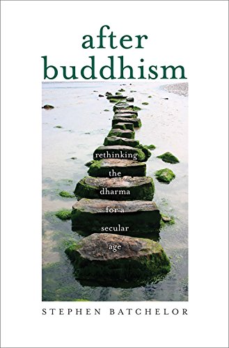 After Buddhism: Rethinking the Dharma for a Secular Age von Yale University Press