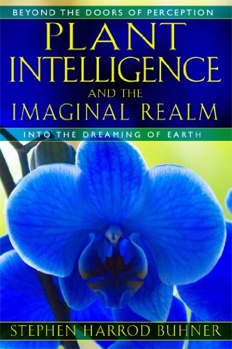Plant Intelligence and the Imaginal Realm: Beyond the Doors of Perception into the Dreaming of Earth von Simon & Schuster