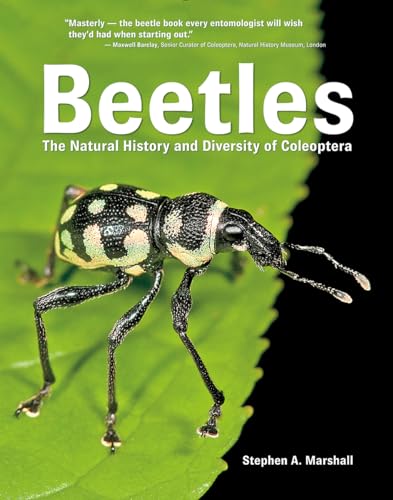 Beetles: The Natural History and Diversity of Coleoptera von Firefly Books
