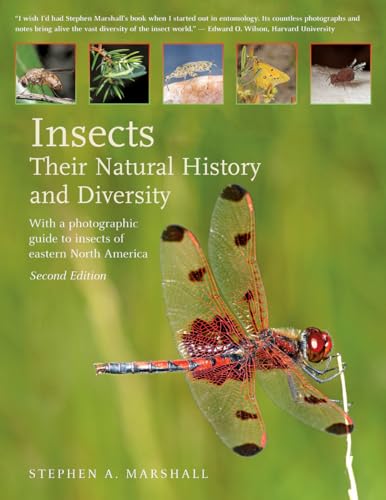 Insects: Their Natural History and Diversity: With a Photographic Guide to Insects of Eastern North America von Firefly Books