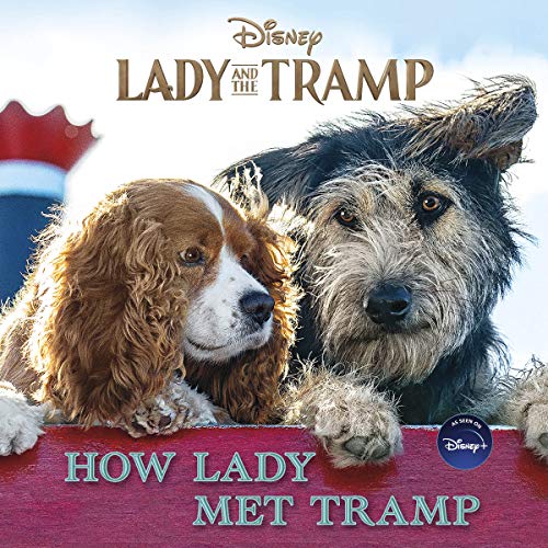 Lady and the Tramp: How Lady Met Tramp von Disney Press