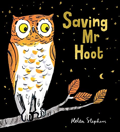 Saving Mr Hoot: a warmly funny story about how we can all help protect wildlife