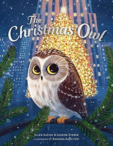 The Christmas Owl von Andersen Press