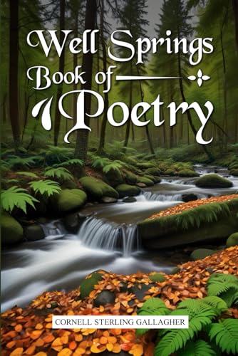 Well Springs Book of Poetry Well Springs Book of Poetry von Book Writing Maestros