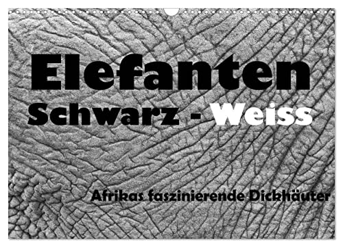 Elefanten Schwarz - Weiss (Wandkalender 2025 DIN A3 quer), CALVENDO Monatskalender von CALVENDO