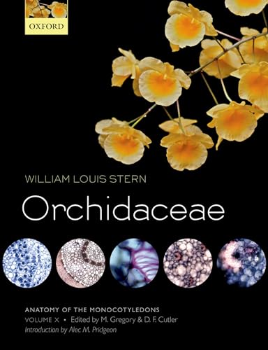 Orchidaceae (Anatomy of the Monocotyledons)