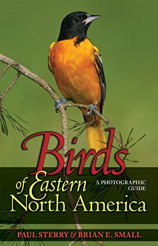 Birds of Eastern North America: A Photographic Guide a Photographic Guide (Princeton Field Guides) von Princeton University Press