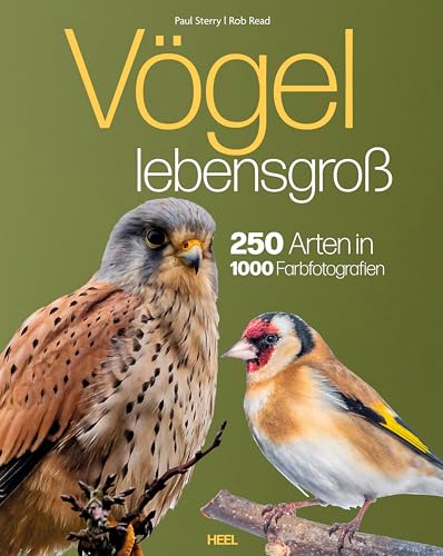 Vögel lebensgroß: 250 Arten in 1000 Farbfotografien von Heel