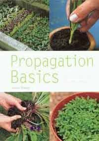 Propagation Basics: How to Make More from Your Plants