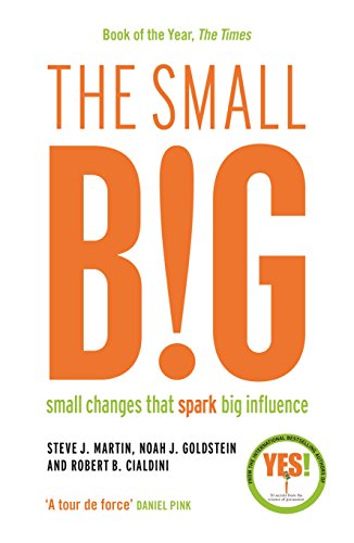 The Small Big: Small Changes That Spark Big Influence von Profile Books