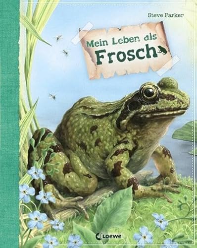 Mein Leben als Frosch