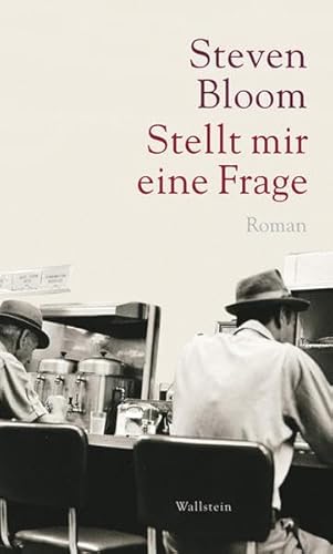 Stellt mir eine Frage. Roman