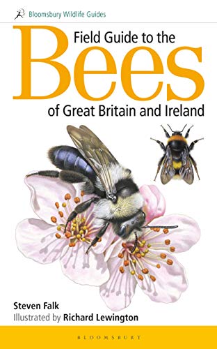 Field Guide to the Bees of Great Britain and Ireland (Bloomsbury Wildlife Guides)