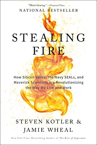 Stealing Fire: How Silicon Valley, the Navy SEALs, and Maverick Scientists Are Revolutionizing the Way We Live and Work von Dey Street Books
