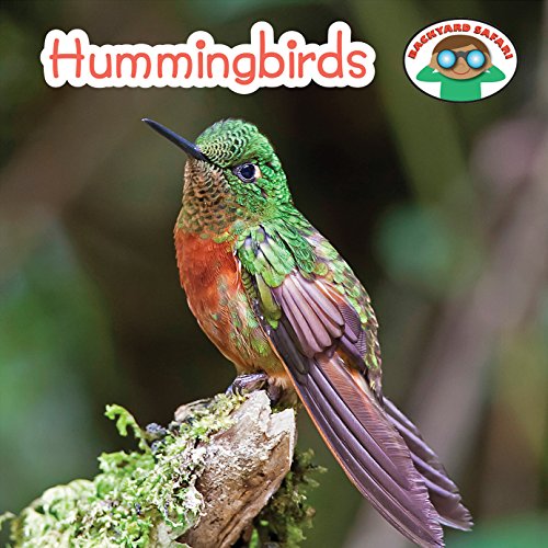 Hummingbirds (Backyard Safari)
