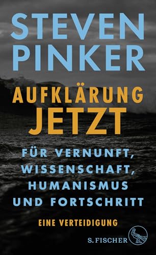 Aufklärung jetzt: Für Vernunft, Wissenschaft, Humanismus und Fortschritt. Eine Verteidigung