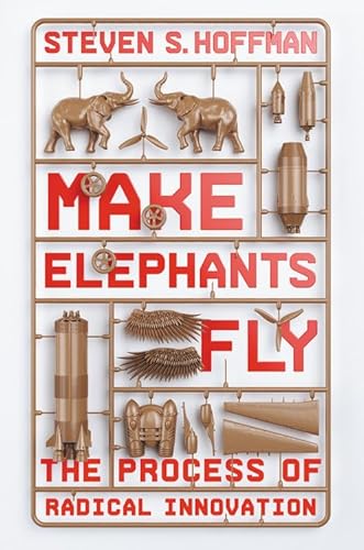 Make Elephants Fly: The Process of Radical Innovation von Center Street