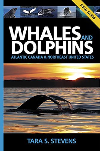 Whales and Dolphins Field Guide: Atlantic Canada and Northeast United States: Atlantic Canada & Northeast United States