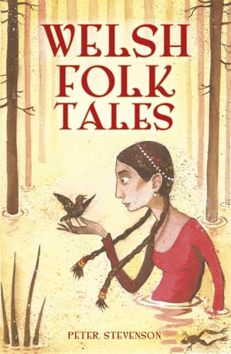 Welsh Folk Tales von History Press