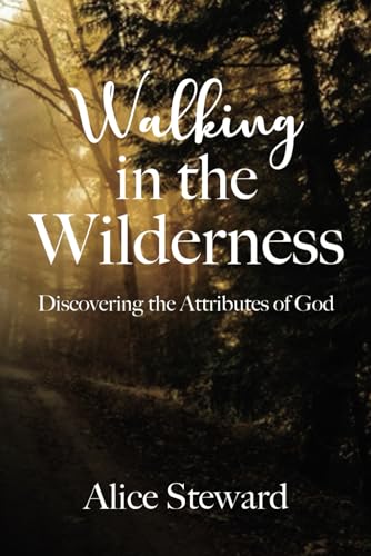 Walking in the Wilderness Discovering the Attributes of God von Primedia eLaunch LLC