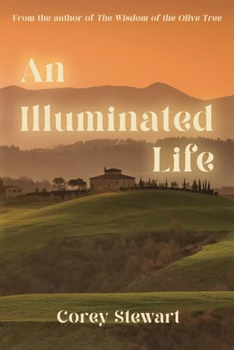 An Illuminated Life (Umbria, Band 2) von DartFrog Books