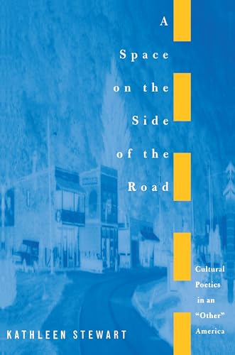 A Space on the Side of the Road: Cultural Poetics in an "Other" America von Princeton University Press