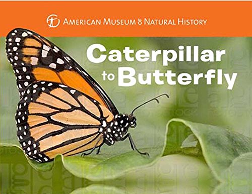 Caterpillar to Butterfly (Science for Toddlers)