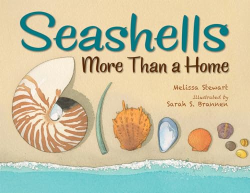 Seashells: More Than a Home von Charlesbridge