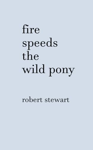 Fire Speeds the Wild Pony Fire Speeds the Wild Pony von Nielsen UK ISBN Store