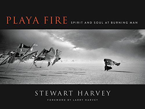 Playa Fire: Spirit and Soul at Burning Man von HarperOne