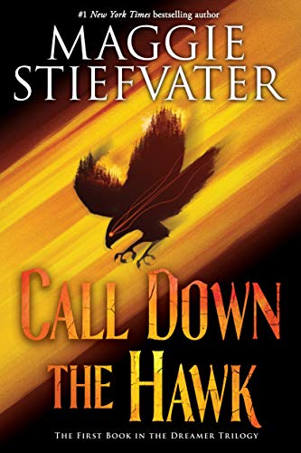 Call Down the Hawk: Volume 1 (Dreamer Trilogy, Band 1)