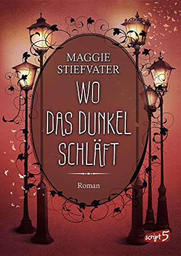 Wo das Dunkel schläft (Band 4): Entdecke die spannende Mischung aus Fantasy, Romantik und Spannung - Fantasyroman ab 14 Jahren