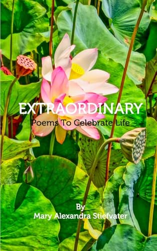 Extraordinary: Poems To Celebrate Life von Blurb