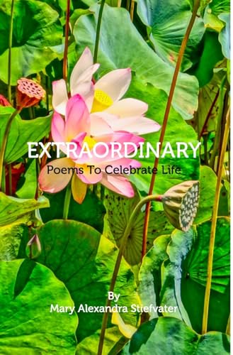 Extraordinary: Poems To Celebrate Life von Blurb