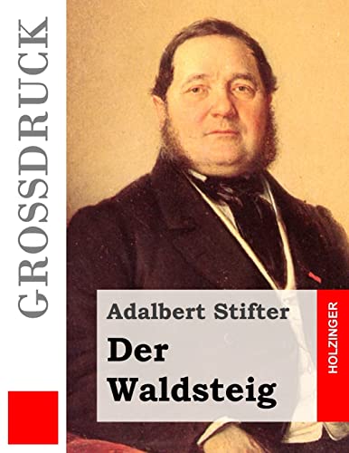 Der Waldsteig (Großdruck)