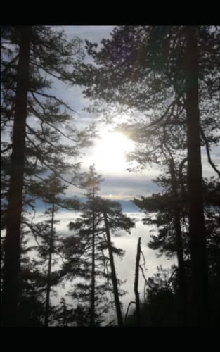 The high forest: Romantic Story The high forest: Romantic Story von Independently published