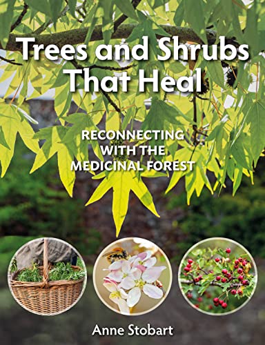Trees and Shrubs That Heal: Reconnecting with the Medicinal Forest von Permanent Publications
