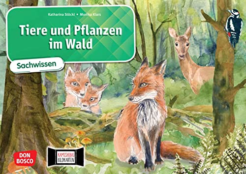 Tiere und Pflanzen im Wald. Kamishibai Bildkartenset: Entdecken - Erzählen - Begreifen: Sachwissen. Material für den Sachunterricht Klasse 1-4, alles ... Wald. (Sachwissen für das Kamishibai) von Don Bosco