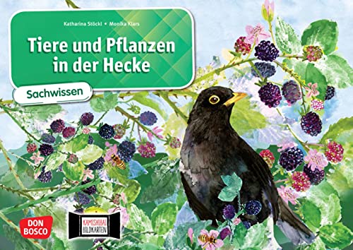 Tiere und Pflanzen in der Hecke. Kamishibai Bildkartenset: Bildergeschichte für den Sachunterricht in der Grundschule. Geeignet für die Klassen 1-4 (Sachwissen für das Kamishibai)