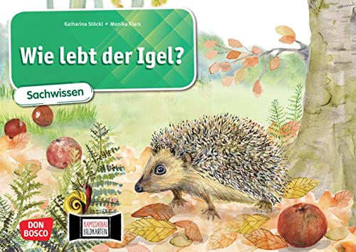 Wie lebt der Igel? Kamishibai Bildkartenset.: Entdecken - Erzählen - Begreifen: Sachwissen. Eine Sachgeschichte für das Kamishibai. Geeignet für den ... 1 bis 4. (Sachwissen für das Kamishibai) von Don Bosco