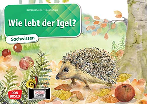 Wie lebt der Igel? Kamishibai Bildkartenset.: Entdecken - Erzählen - Begreifen: Sachwissen. Eine Sachgeschichte für das Kamishibai. Geeignet für den ... 1 bis 4. (Sachwissen für das Kamishibai)