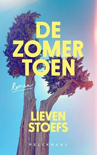 De zomer toen von Pelckmans